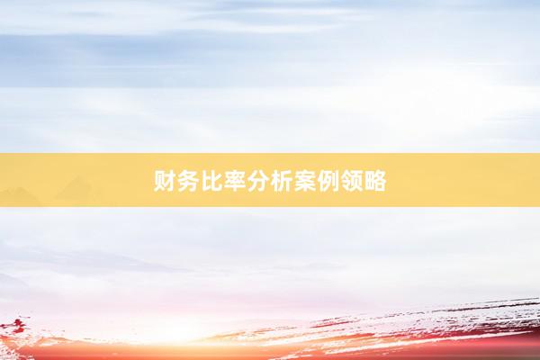 财务比率分析案例领略